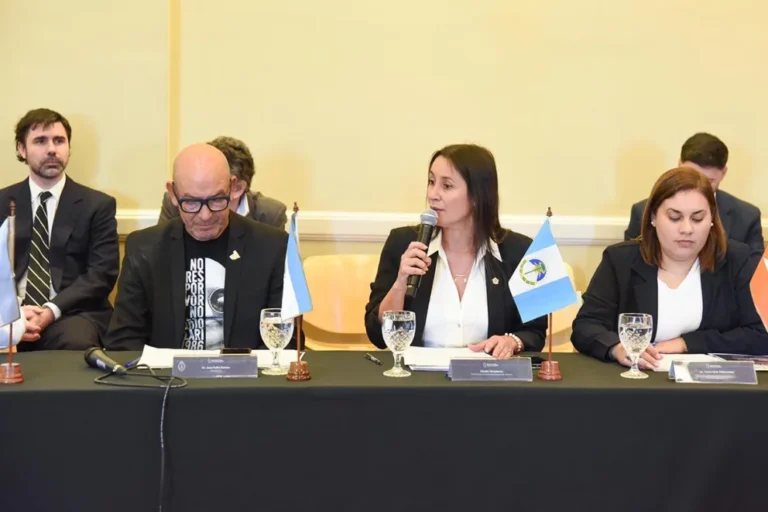 Neuquén participó de la reunión del Consejo Federal de Niñez, Adolescencia y Familia