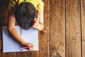 Deudores Alimentarios: Provincia informó 1.649 inscriptos en lo que va del año